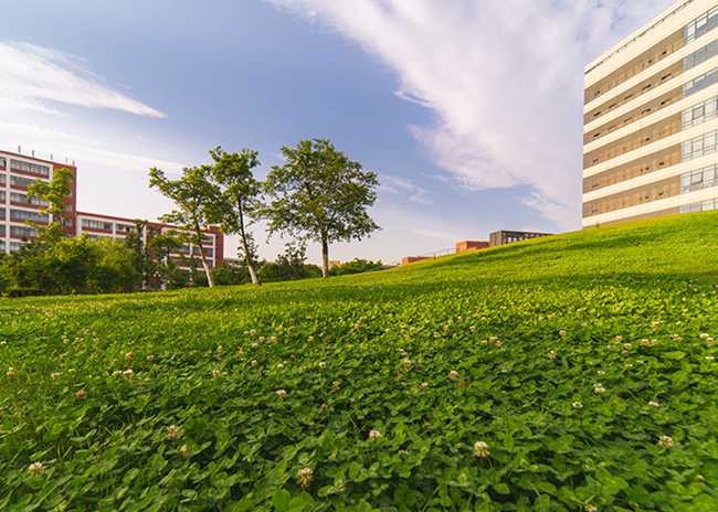 乐山市医药科技学校成都校区